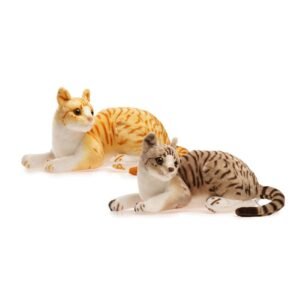 GATOS SIAMES ECHADOS