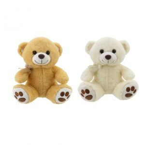 OSO CON MOÑO